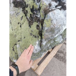 Эксклюзивный Камень Валун Гранит "Двухликий"
