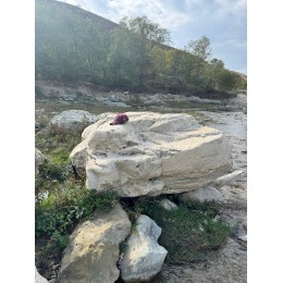 Эксклюзивный Камень Валун "Иероглиф"