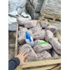Натуральный камень валун Лемезит