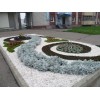 Мраморная крошка зеленая