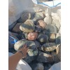 Природный валун Ассорти размер 15-30см
