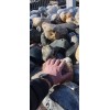 Природный валун Ассорти размер 15-30см
