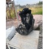 Полированный камень Доломит "Ночь"