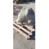 Эксклюзивный камень гранит "Боровик"