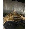Галтованный плитняк Песчаник Золотая осень