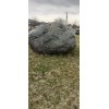 Эксклюзивные камни Валун Яшмоид "Рептилия"