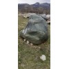Эксклюзивные камни Валун Яшмоид "Рептилия"