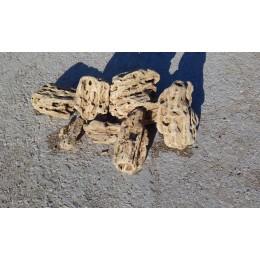 Природный камень галтованный Валун Меотис (Крымский ракушечник)