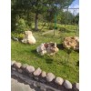 Природный камень бутовый Адыгейский мрамор