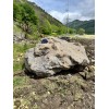 Эксклюзивный Камень Валун Гранит "Всплеск"