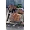 Натуральный камень бутовый Окаменелое дерево