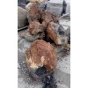 Натуральный камень бутовый Окаменелое дерево