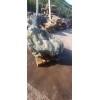 Эксклюзивный Камень Валун Диабаз "Верблюд"