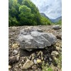 Эксклюзивный Камень Валун Гранит "Богатырь"