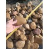 Галька морская медовая Хабез №5 фр 70-120мм