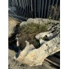 Эксклюзивный Камень Валун Эльбрус "Степной"